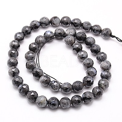 Natural Larvikite Beads Strands G-G736-01-6mm-1
