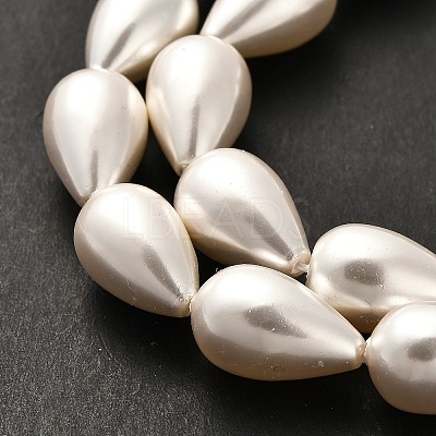Electroplate Shell Pearl Beads Strands BSHE-G010-10x16mm-01-1