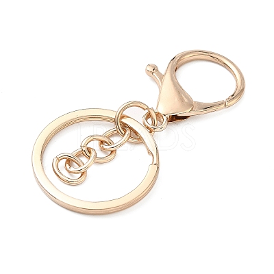 Alloy Keychain Clasps FIND-C084-10KCG-1