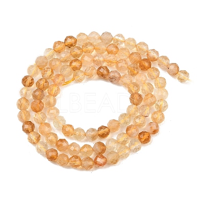 Natural Citrine(Heated) Beads Strands G-G155-B03-02A-1