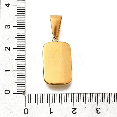 304 Stainless Steel Pendants STAS-S161-01Z-G-1