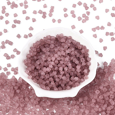 FGB Frosted Transparent Glass Seed Beads SEED-N013-03A-06-1