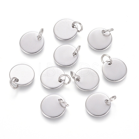 304 Stainless Steel Charms STAS-I124-01B-P-1