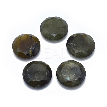 Natural Labradorite Cabochons G-L514-006A-1