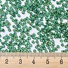 MIYUKI Round Rocailles Beads X-SEED-G007-RR1016-4