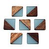 Resin & Walnut Wood Cabochons RESI-S358-90F-3