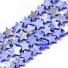 Freshwater Shell Beads Strands SHEL-T014-009A-1