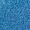 MIYUKI Round Rocailles Beads SEED-JP0009-RR0573-3