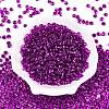 6/0 Baking Paint Transparent Fringe Glass Seed Beads SEED-N006-06H-2