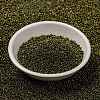 MIYUKI Round Rocailles Beads SEED-JP0010-RR0307-1