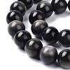 Natural Silver Obsidian Beads Strands X-G-D083-01A-3