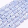 Natural Blue Lace Agate Beads Strands G-F509-63-1