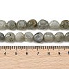 Natural Labradorite Beads Strands G-P623-A03-02-5