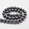 Shell Pearl Bead Strands X-BSHE-L025-05-12mm-2