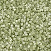 MIYUKI Delica Beads SEED-J020-DB1815-3