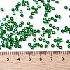 MIYUKI Round Rocailles Beads X-SEED-G008-RR0146-4