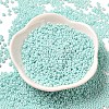 Baking Paint Glass Seed Beads SEED-P006-03A-29-2