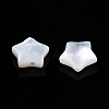 Natural White Shell Beads SSHEL-N032-54B-3