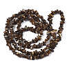 Natural Freshwater Shell Beads Strands SHEL-S278-070A-2