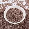 MIYUKI Round Rocailles Beads X-SEED-G008-RR0641-3