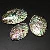 Oval Paua Shell Cabochons BSHE-M020-07-1