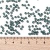 MIYUKI Round Rocailles Beads SEED-JP0009-RR4481-4