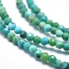 Natural HuBei Turquoise Beads Strands G-M353-A17-2mm-3