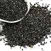 Electroplate Glass Seed Beads SEED-H003-10L-1