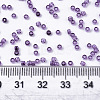 Glass Seed Beads SEED-S042-11B-06-4