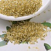 MIYUKI Delica Beads SEED-X0054-DB0042-1