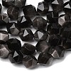 Natural Silver Obsidian Beads Strands G-Z119-A11-02-5