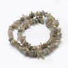 Natural Labradorite Beads Strands G-F521-13-2