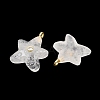 Natural Quartz Crystal Pendants X-G-H353-01G-02-2