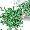 Glass Seed Beads SEED-A010-3mm-47-1