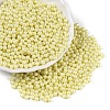 Glass Seed Beads SEED-T007-01J-3