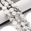 Natural Howlite Beads Strands G-C159-B01-01-2