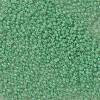 TOHO 11/0 Round Beads X-SEED-TR11-0156-2