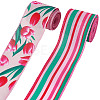2 Rolls Burlap Ribbons SRIB-WH20009-003-1