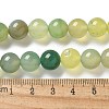 Natural Agate Beads Strands G-NH0001-G11-01-5