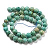 Natural Peruvian Turquoise(Jasper) Beads Strands G-A219-A05-03-2