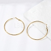 201 Stainless Steel Hoop Earrings EJEW-F188-24G-C-1