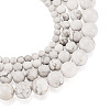 4 Strands 4 Style Natural Howlite Beads Strands G-TA0001-34-10
