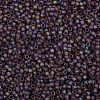 TOHO Round Seed Beads SEED-JPTR08-0166BF-2
