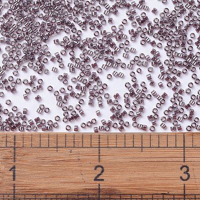 MIYUKI Delica Beads X-SEED-J020-DB1224-1