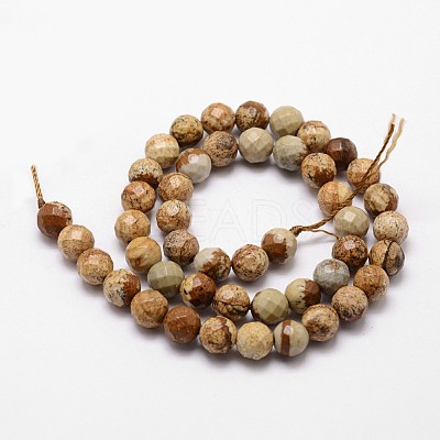 Natural Picture Jasper Beads Strands G-D840-47-10mm-1