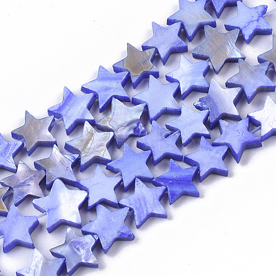 Freshwater Shell Beads Strands SHEL-T014-009A-1