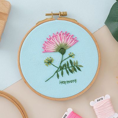 DIY Embroidered Making Kit DIY-F088-01B-1