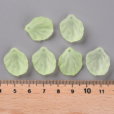 Transparent Frosted Acrylic Pendants MACR-S371-01A-728-1