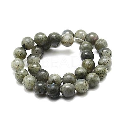 Natural Labradorite Bead Strands G-P256-01-6mm-1