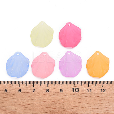 Transparent Frosted Acrylic Pendants MACR-S371-01A-1